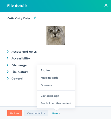 manage file options