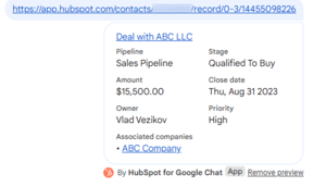 A HubSpot contact record link shared in Google Chat, showing a preview with the contact's name, email, and owner.
