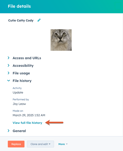 view file history button