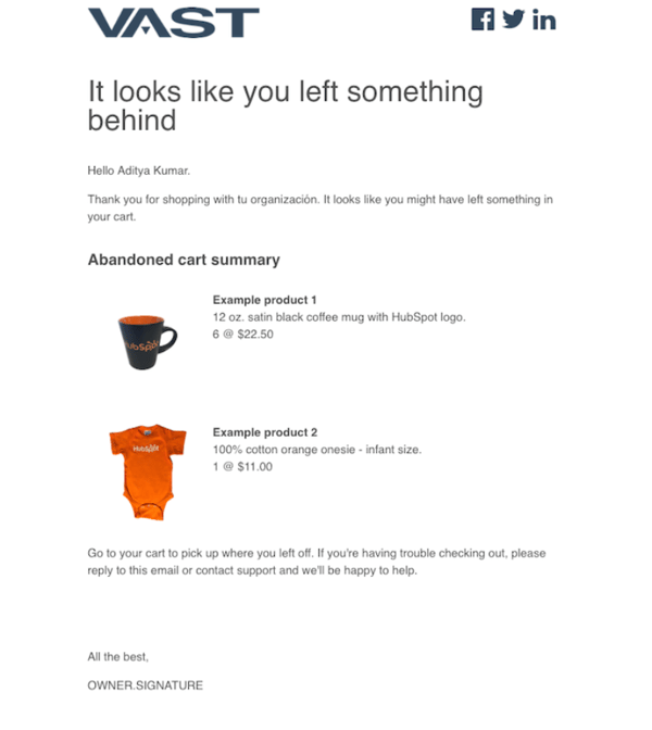 HubSpotGuestBlog1 AbandonedCartEmail.png