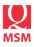 MSM Logo
