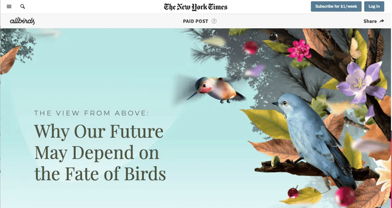 Native Advertising Example Allbirds in the New York Times