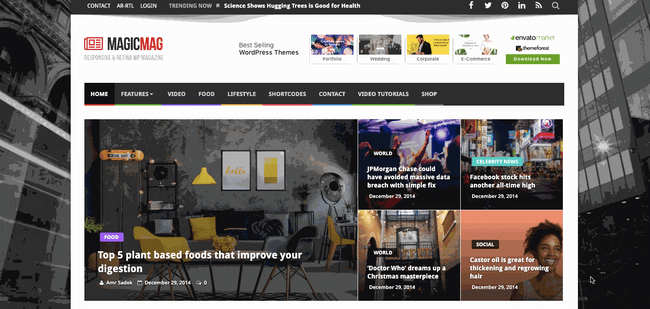 News Magic theme demo shows WordPress site with blog posts and product reviews