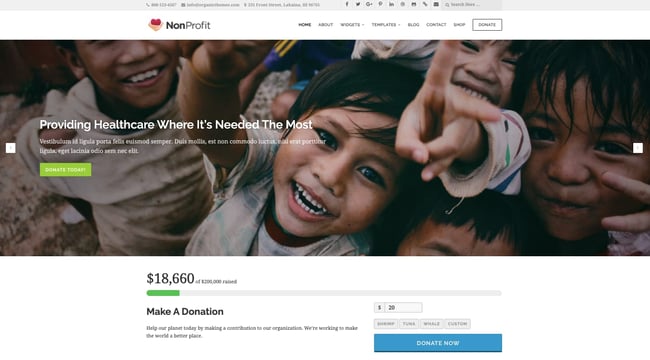 NonProfit demo by Organic Themes WordPress theme for nonprofit organizations