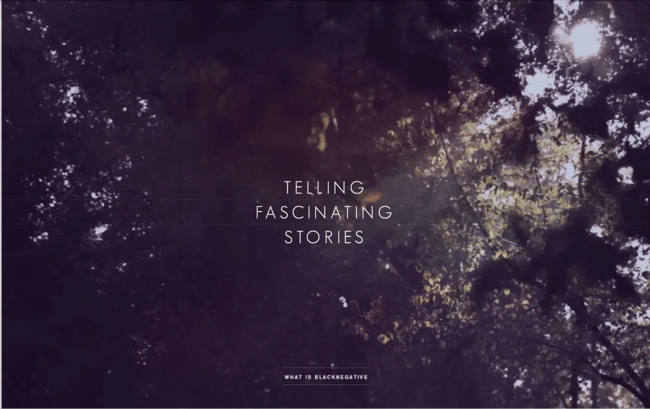 best interactive websites, BlackNegative