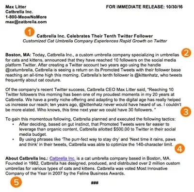 example press release, Catbrella Inc.