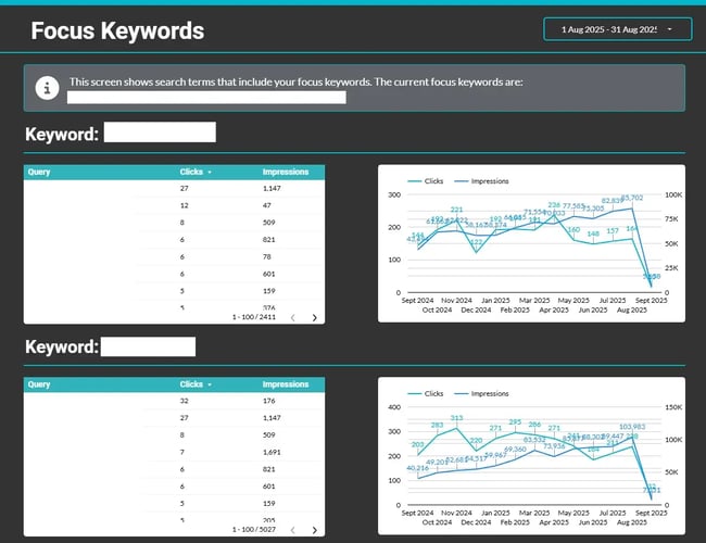 Screenshot of the focus keywords page from an SEO report template.