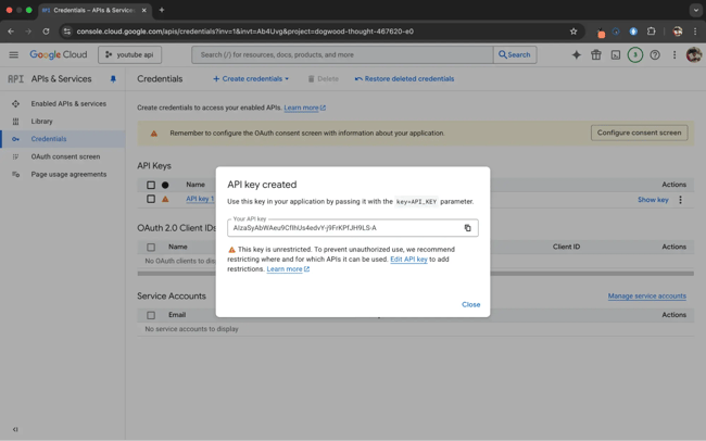 youtube api, api key created screen