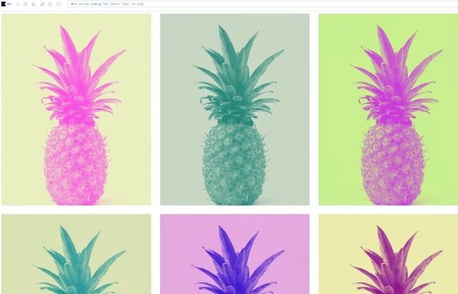 how to design a logo: viewing color palette suggestions as images in khroma