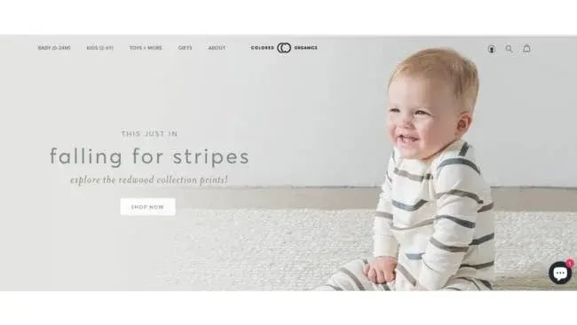 Perfect PPC Landing Page - Colored Organics