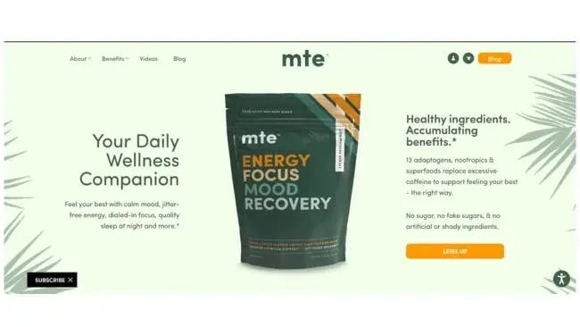 Perfect PPC Landing Page - MTE