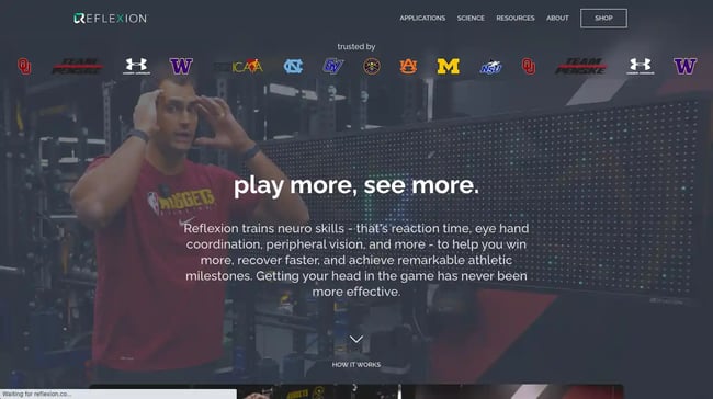 Reflexion dynamic website examples