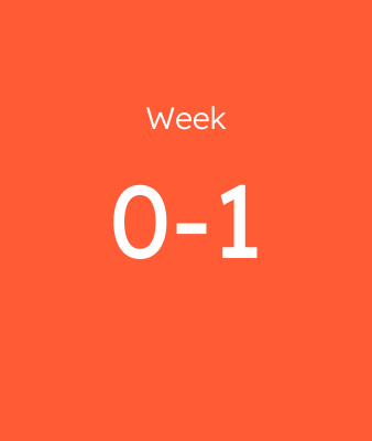Week 0-1