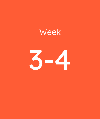 Week 3-4
