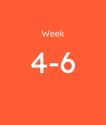 Week 4-6
