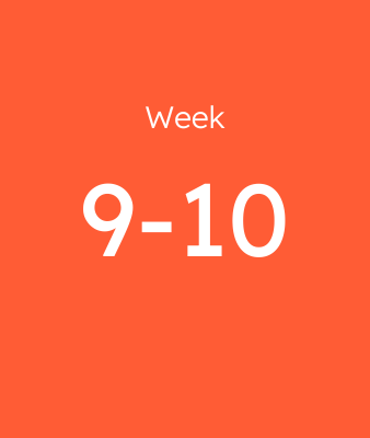 Week 9-10
