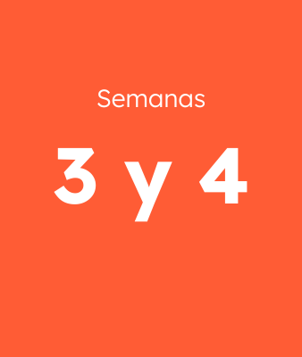Semanas 3 y 4