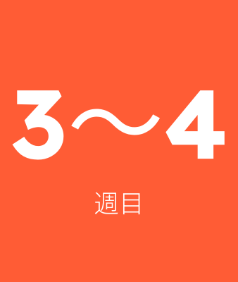 3~4 週目