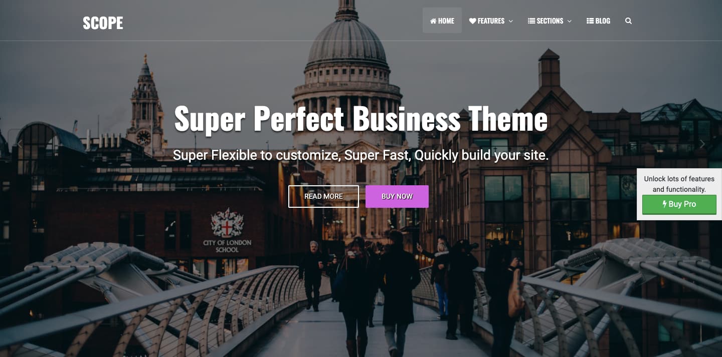 Scope Business Theme