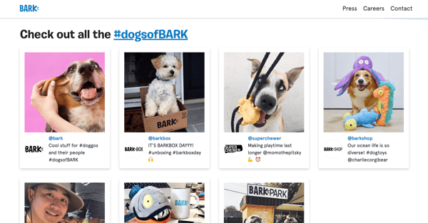 barkbox d2c brands marketing instagram hashtag