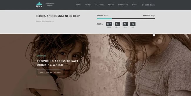 Peak theme demo WordPress theme for nonprofit organizations