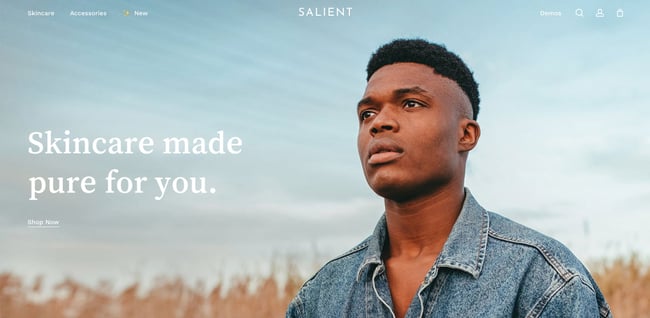 creative wordpress themes: Salient