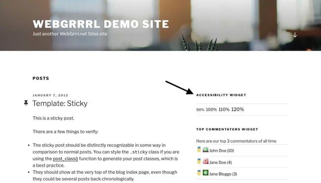 wordpress typography options in sidebar added via Accessibility widget plugin
