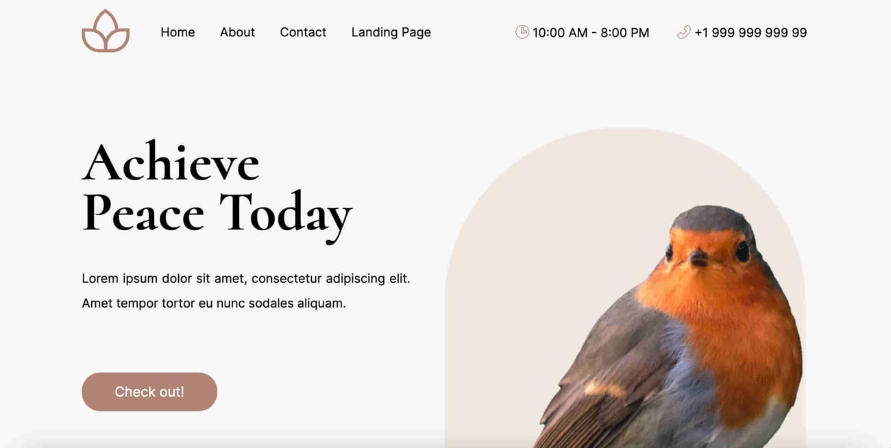 Creative Website Templates: 30 of our Favorites