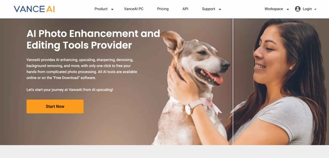 ai website design tools: vance ai homepage 
