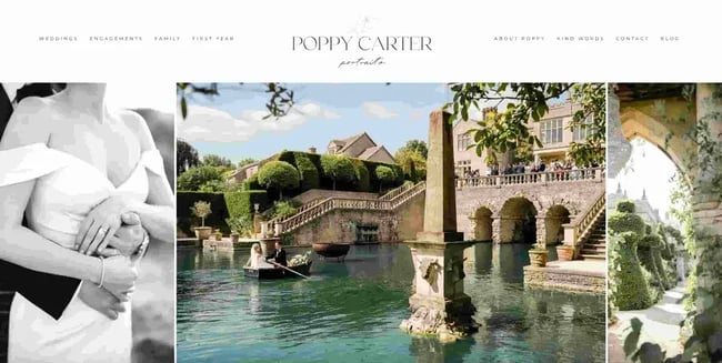 divi themes: poppy carter 