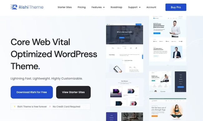 best Wordpress portfolio themes, Rishi Theme
