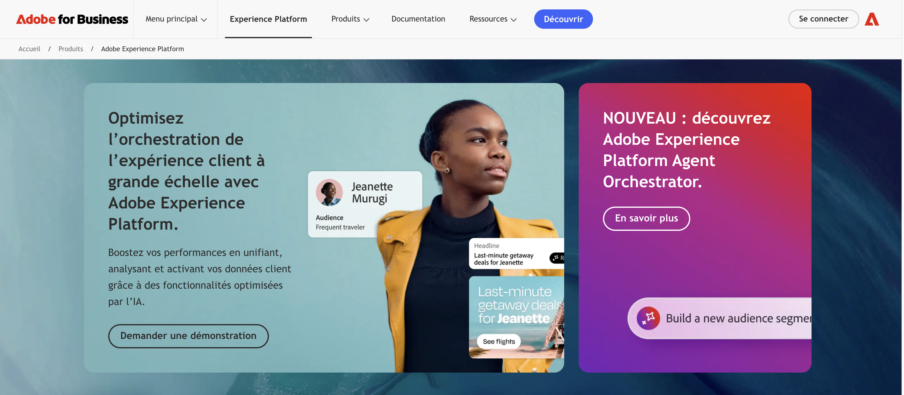 Adobe Experience Platform