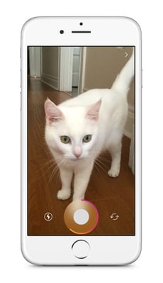 Shooting_a_Instagram_Story_.jpg Shooting_a_Instagram_Story_.jpg