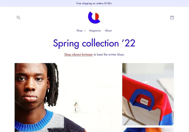 Shopify website themes3