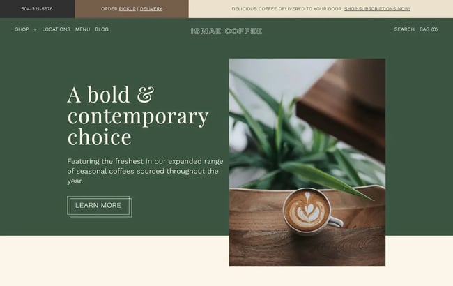 Shopify website themes8