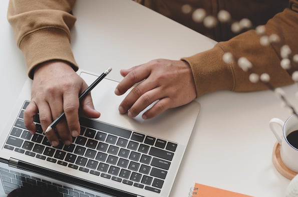 Site owner installing free minimalist WordPress theme