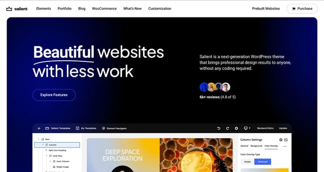 Small business WordPress themes, Salient