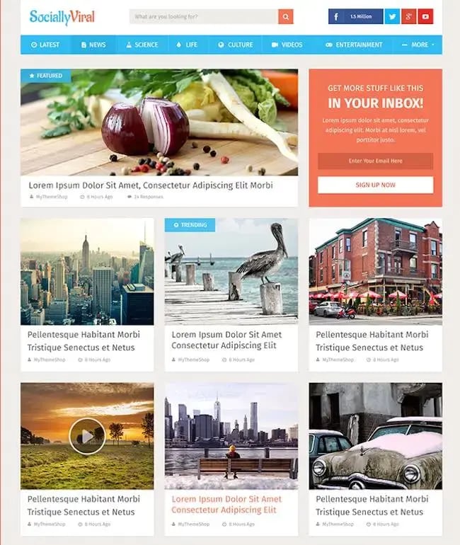 SociallyViral WordPress theme