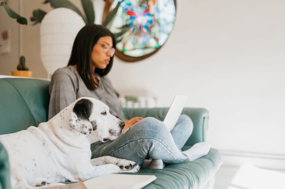 Femme assise sur un canapé avec un ordinateur et un chien