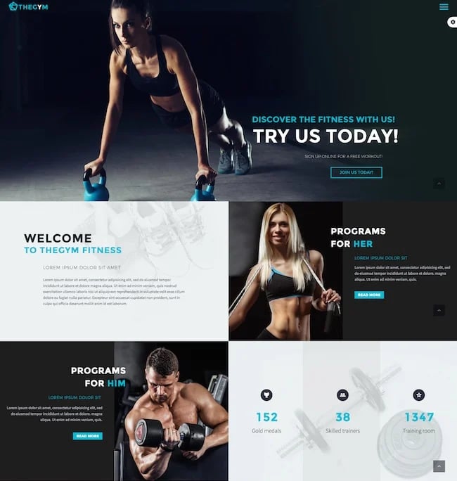 The gem Fitness Wordpress theme