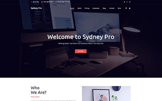 sydney pro elementor theme