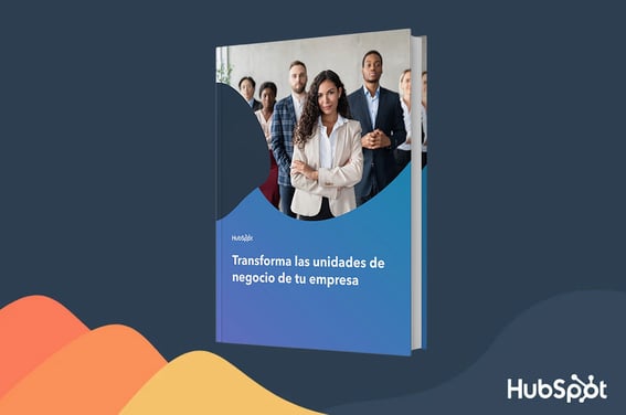 Unidades de Negocio