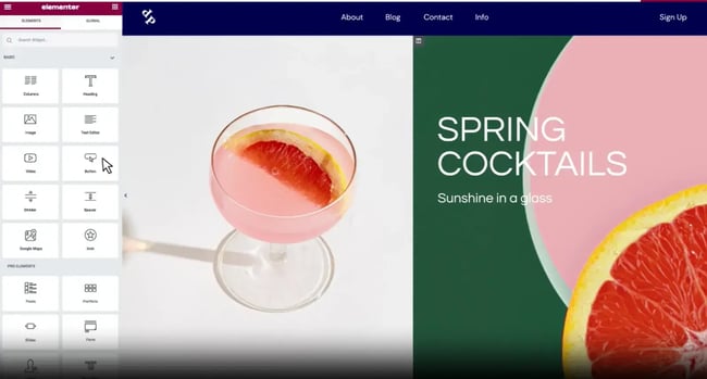 Elementor wordpress landing page Plugin