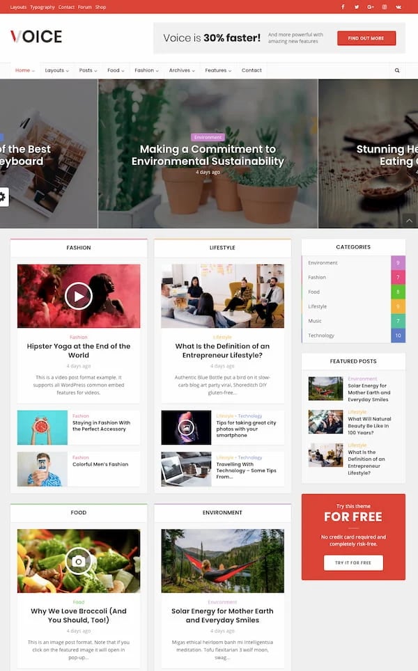 Voice WordPress theme demo with advertising space