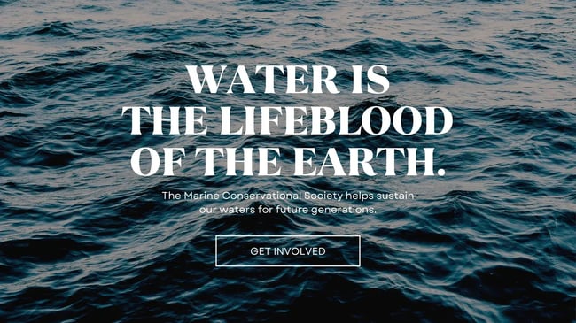 Volunteer Landing Page Template, Canva