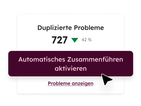 Datenqualitaetsoftware: Zusammenfuehrung von Duplikaten