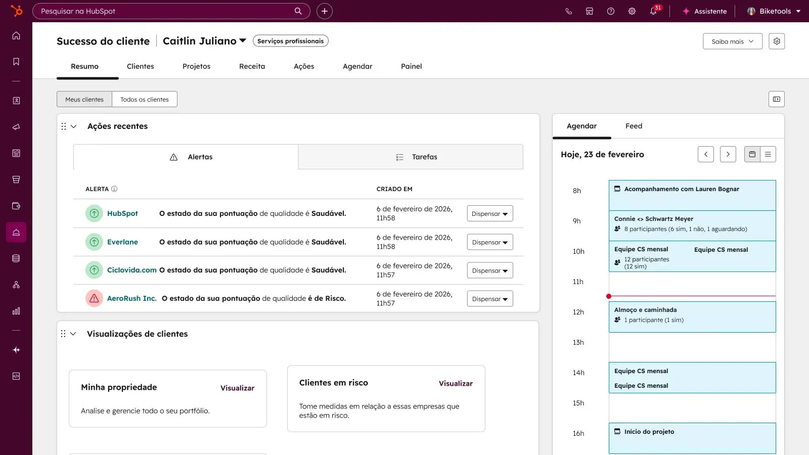 Espaço de trabalho de sucesso do cliente do Service Hub com tela de resumo, alertas e visualização de calendário.