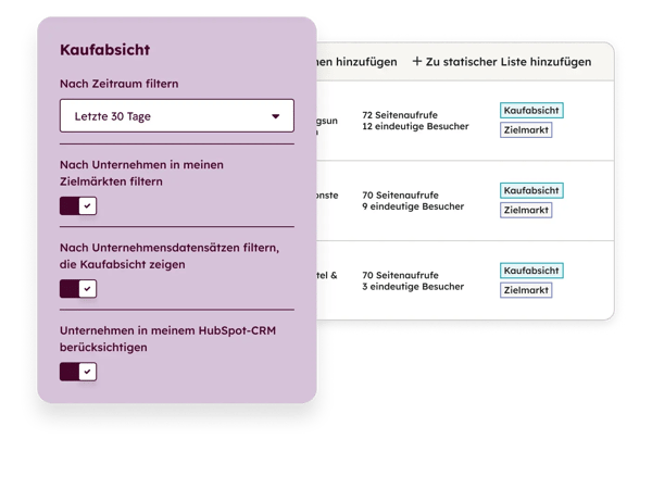 Screenshot des Kaufabsichtstools von HubSpot: Filter