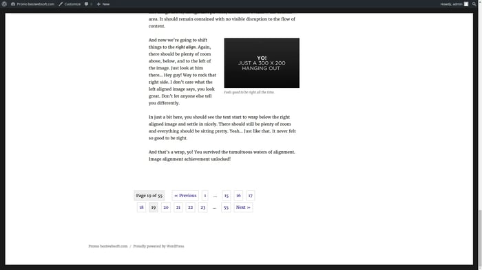 WP Page Navi Pgination Wordpress plugin in action