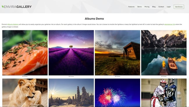 Best WordPress Portfolio Plugins for Images, Video and Audio: Envira Gallery